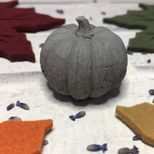 Load image into Gallery viewer, Concrete Pumpkin
