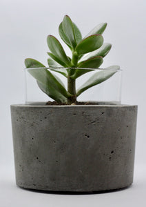 Vasiliki - Concrete and Glass Vase