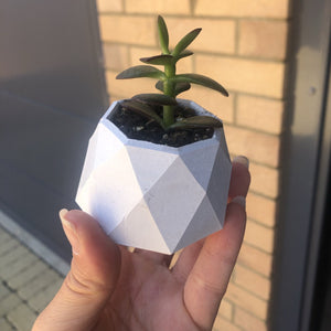 Geo - Geometric pot